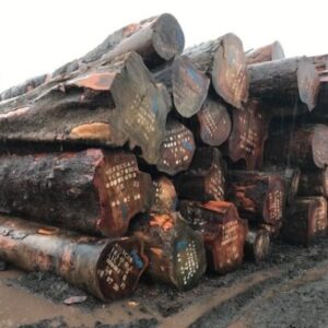 LOGS FROM AFRICA